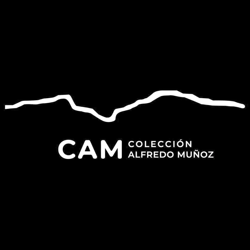 Logo CAM Colección Alfredo Muñoz